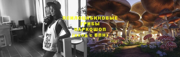 трава Надым