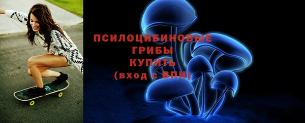 трава Надым