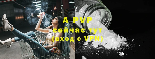 стаф Абдулино