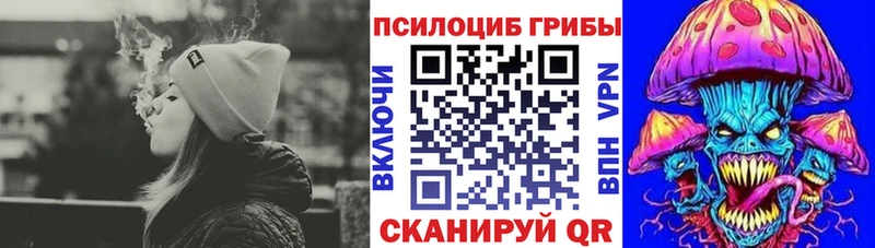 Галлюциногенные грибы Psilocybine cubensis ОМГ ОМГ зеркало Электросталь